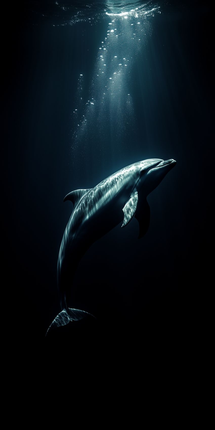 Fond d'écran mobile dauphin smartphone wallpaper 3