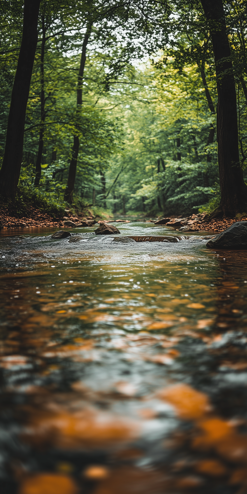 Fond d'écran cascade et riviere pour mobile 2