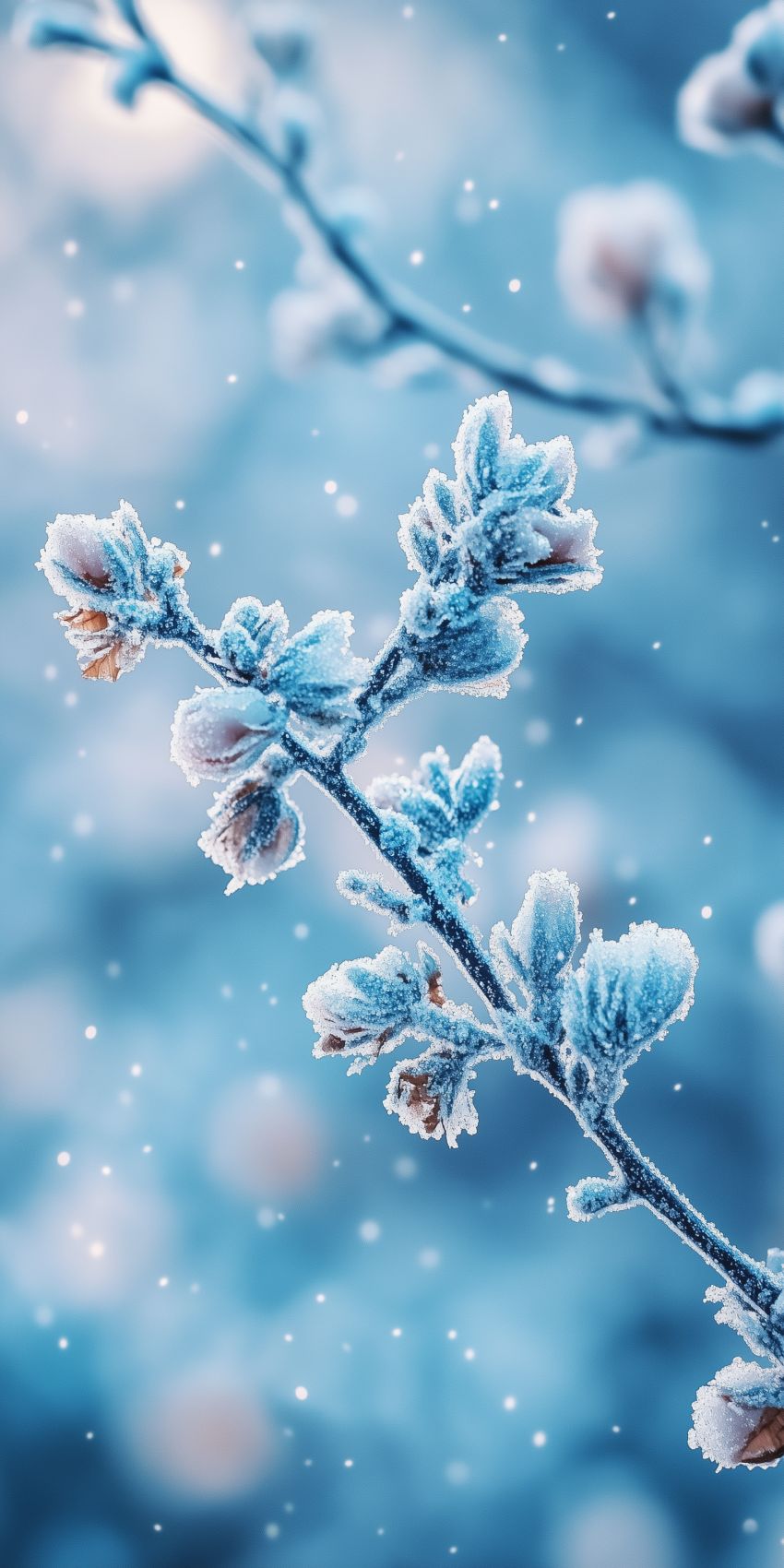 fond d ecran mobile automne hiver smartphone 1