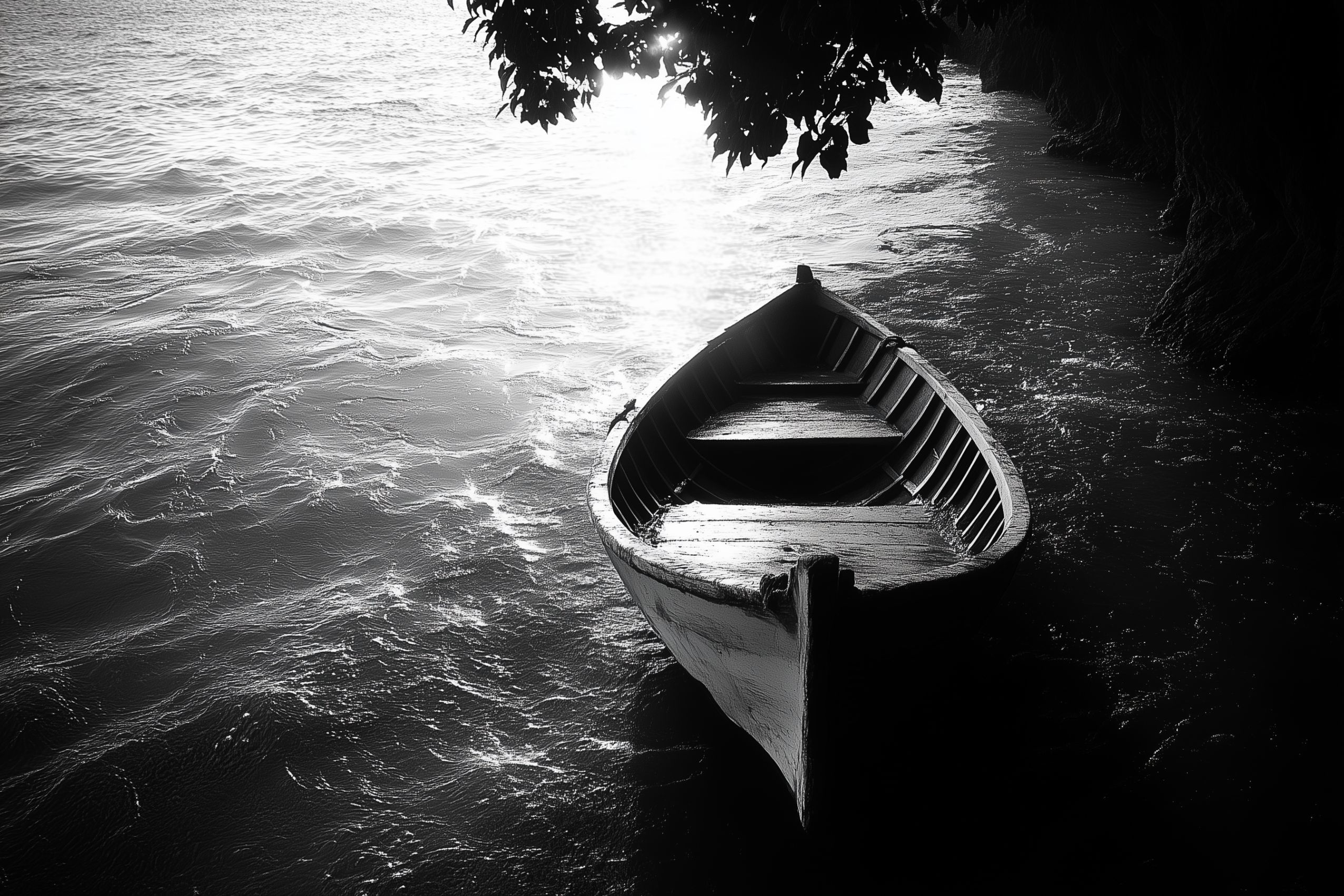 Fond d'écran photographie noir et blanc 004