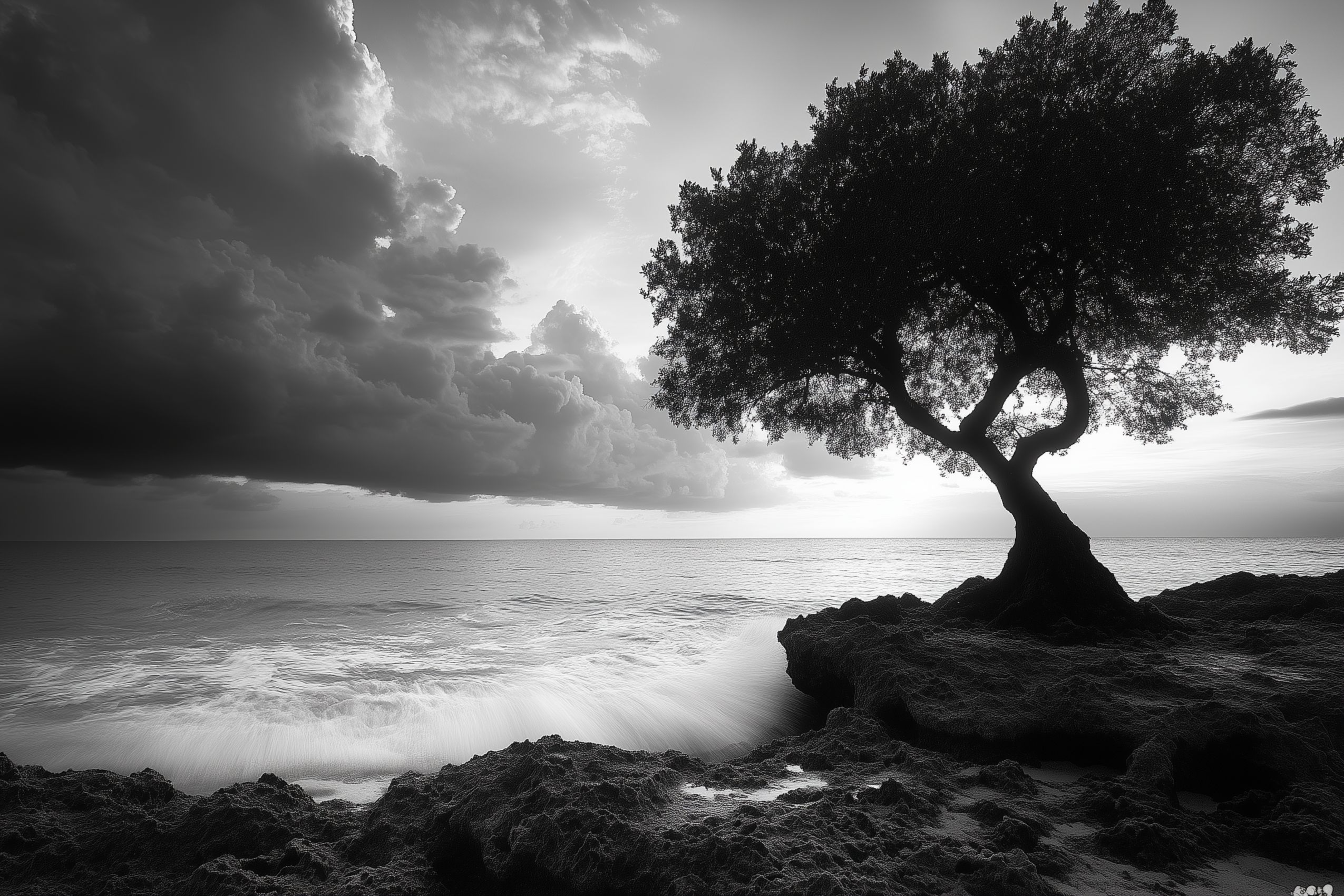 Fond d'écran photographie noir et blanc 006