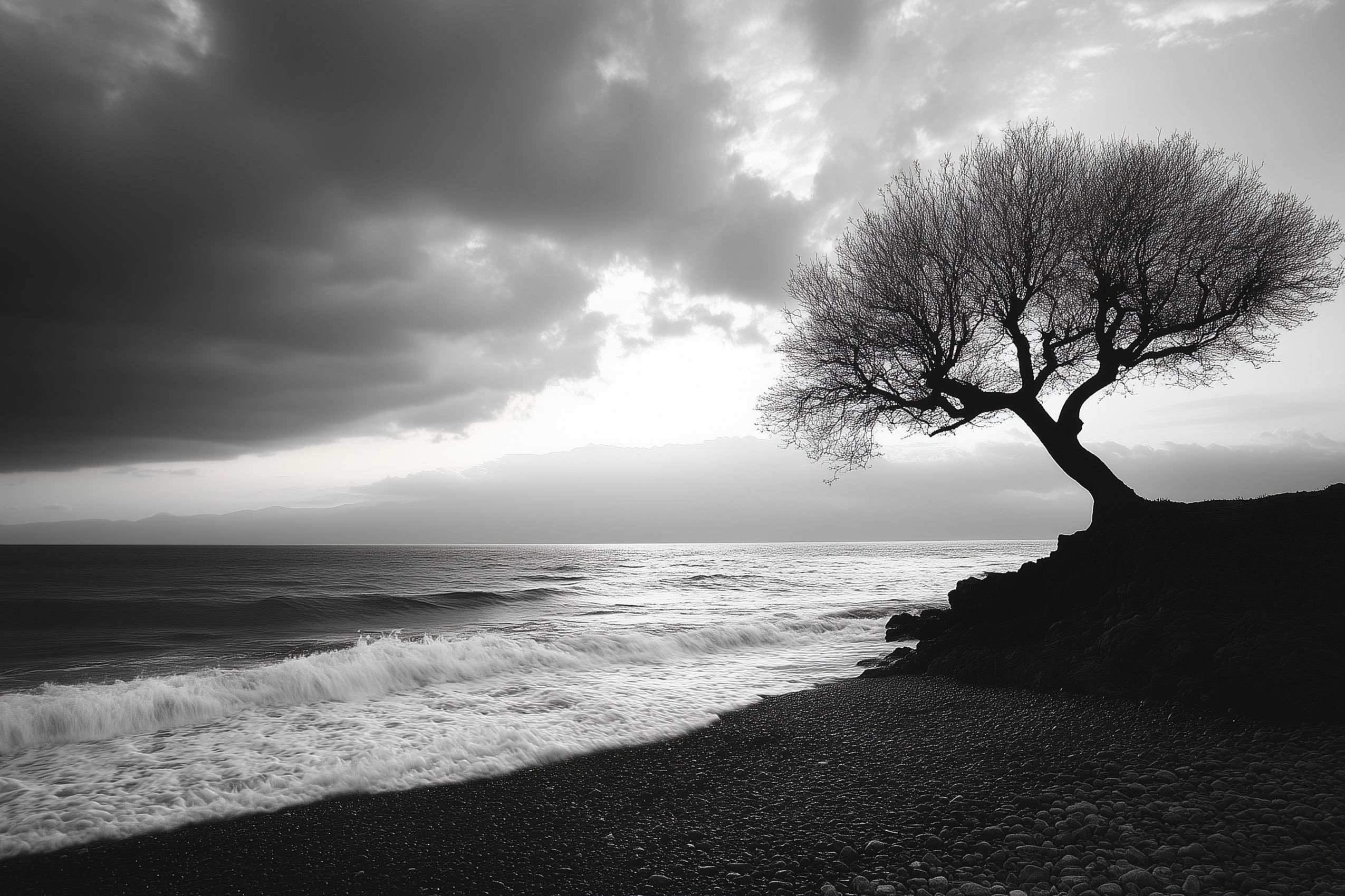 Fond d'écran photographie noir et blanc 011