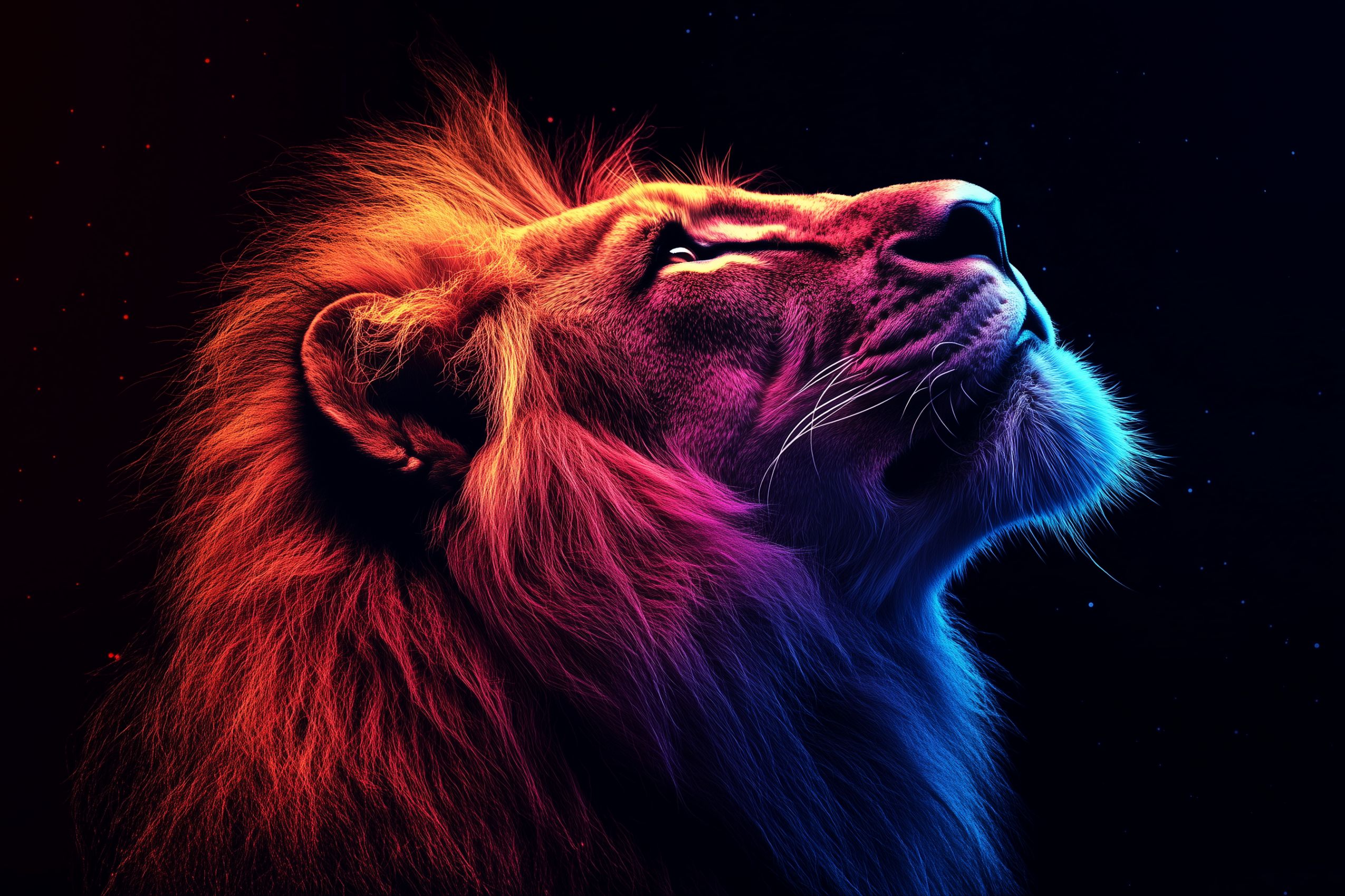 lion fond d ecran wallpaper desktop 1