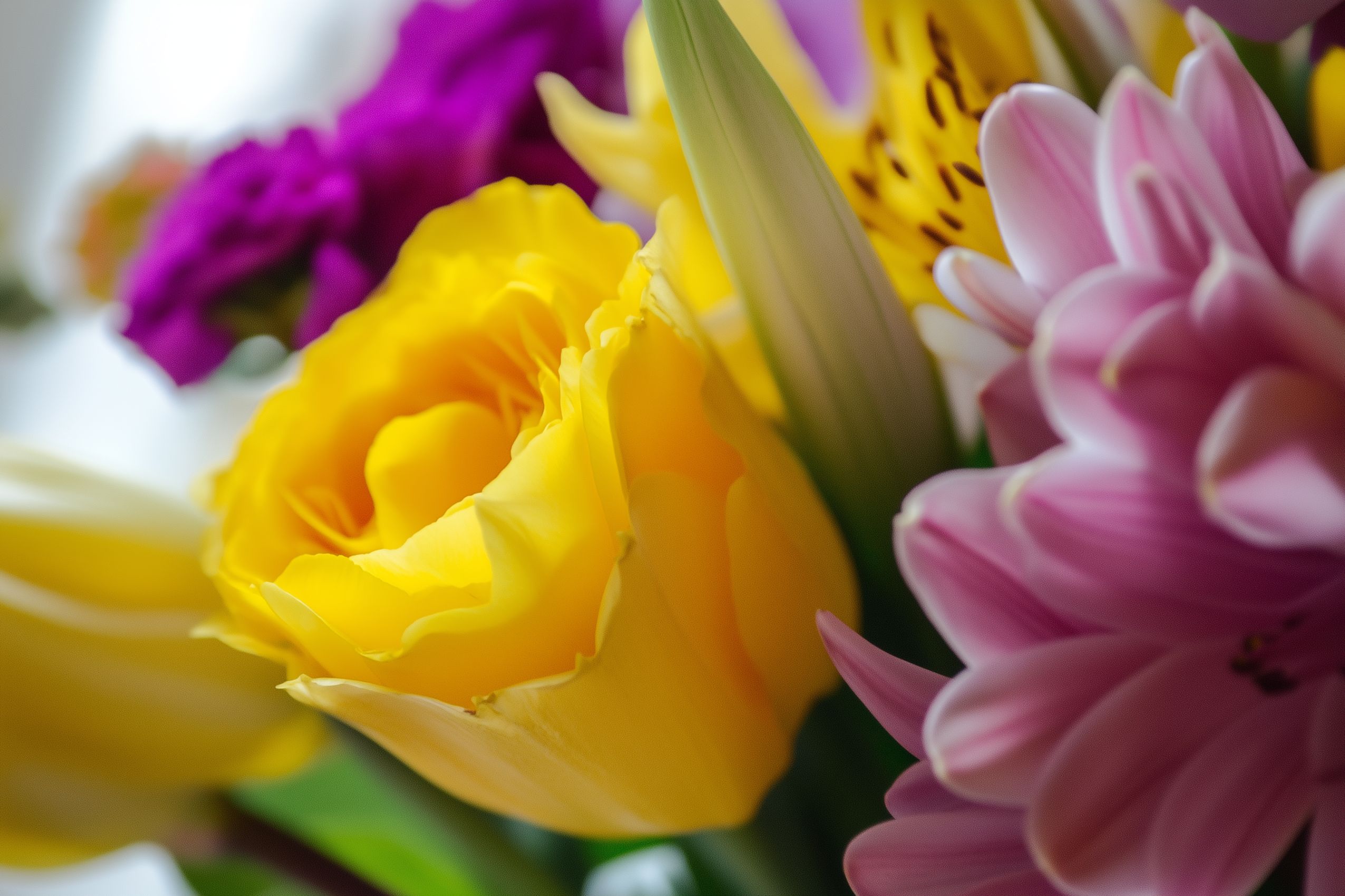 fleurs fond ecran wallpaper 032