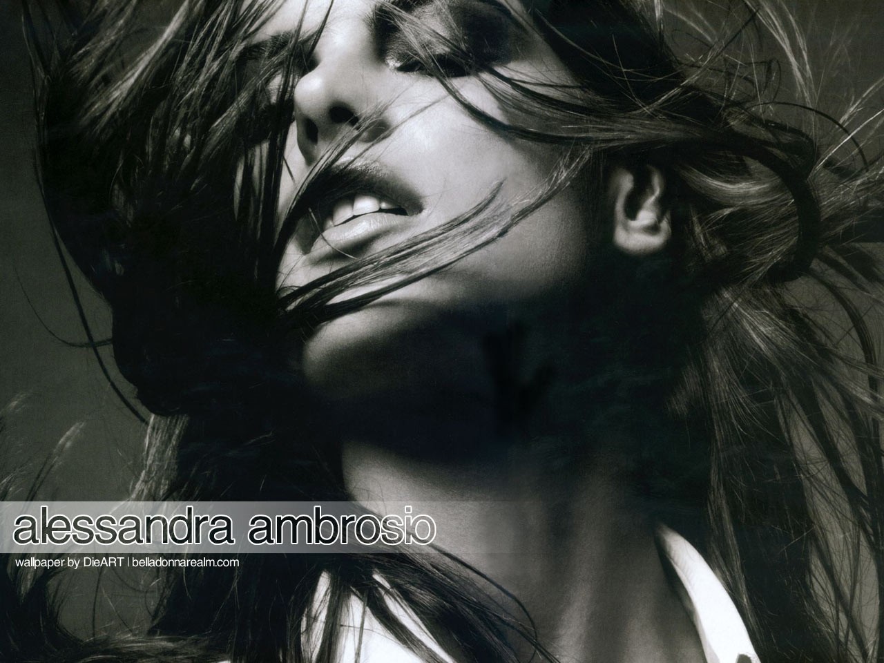Photo fond d'écran Alessandra Ambrosio wallpaper 013