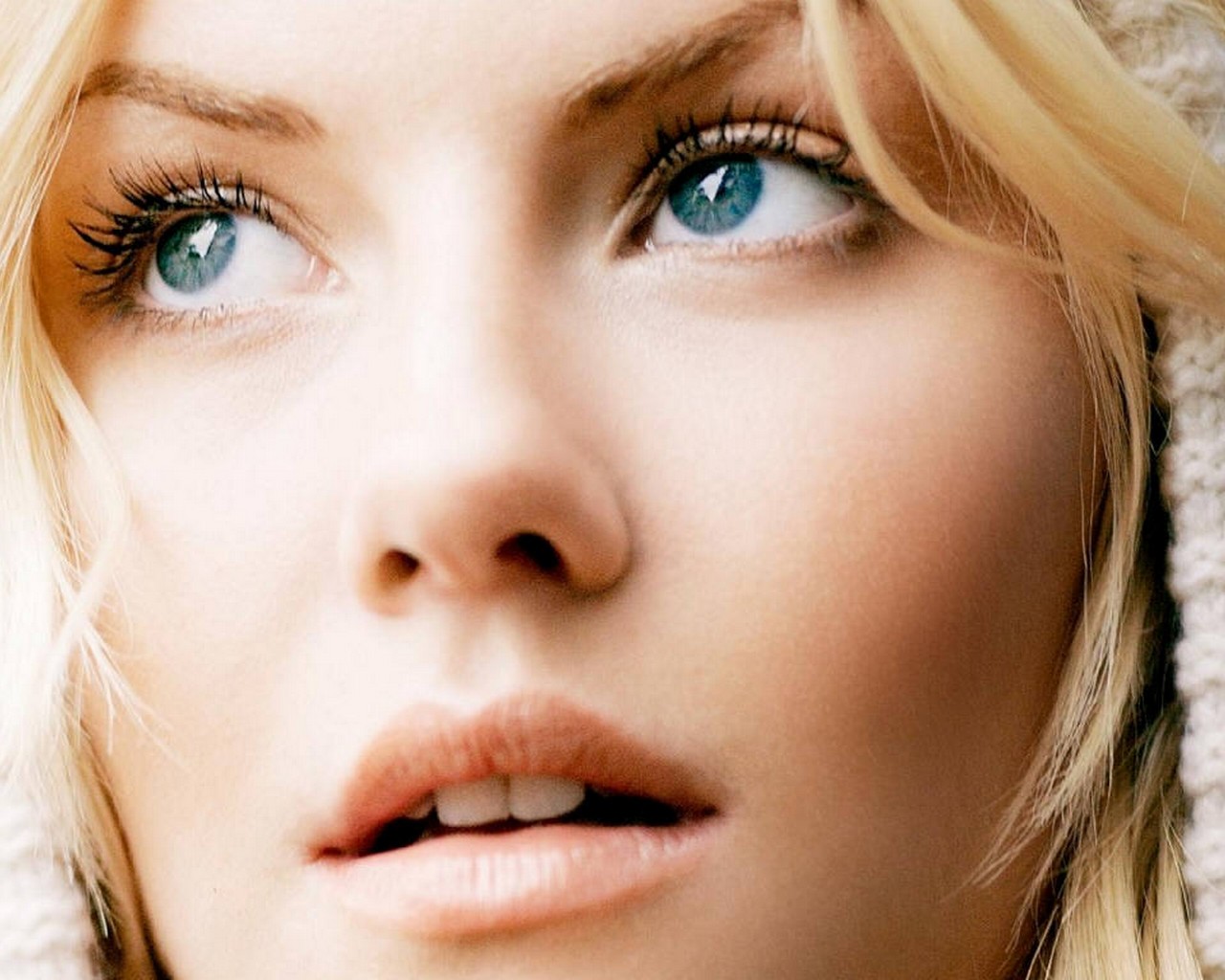 Photo fond d'écran Elisha Cuthbert wallpaper 018
