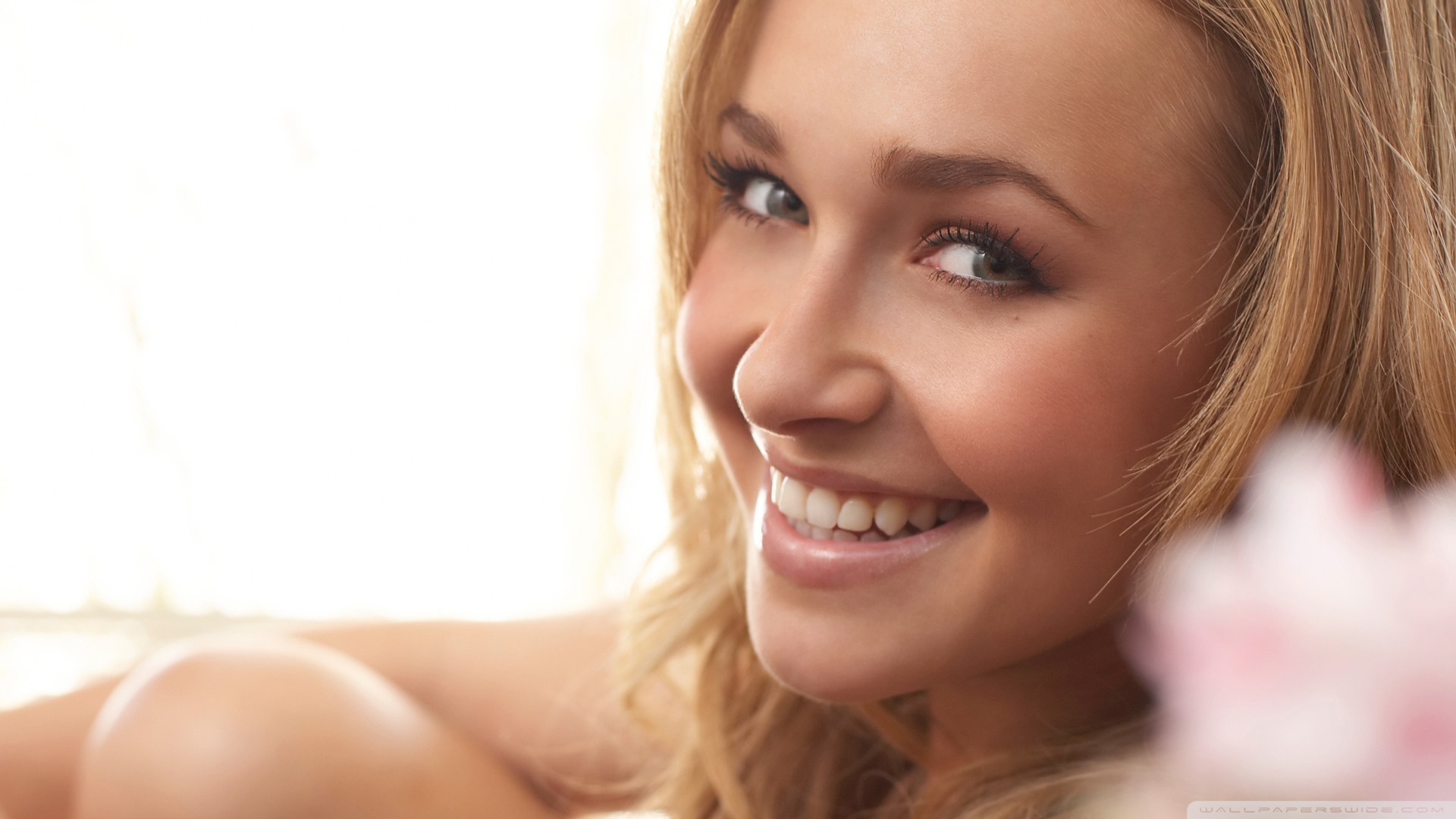 Photo fond d'écran Hayden Panettiere wallpaper 012