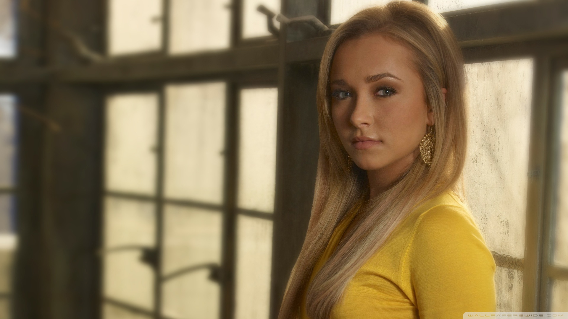 Photo fond d'écran Hayden Panettiere wallpaper 021