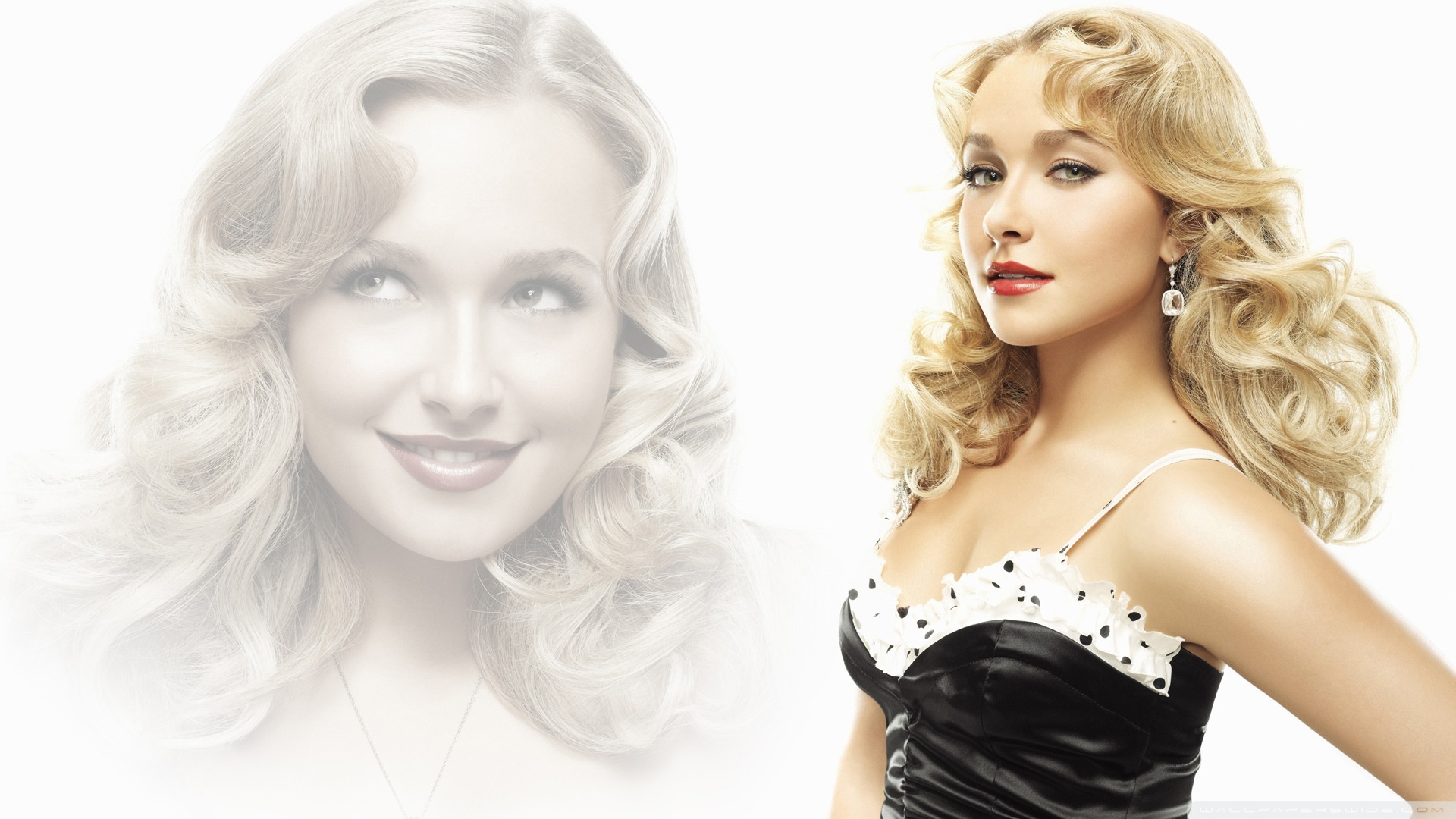 Photo fond d'écran Hayden Panettiere wallpaper 031