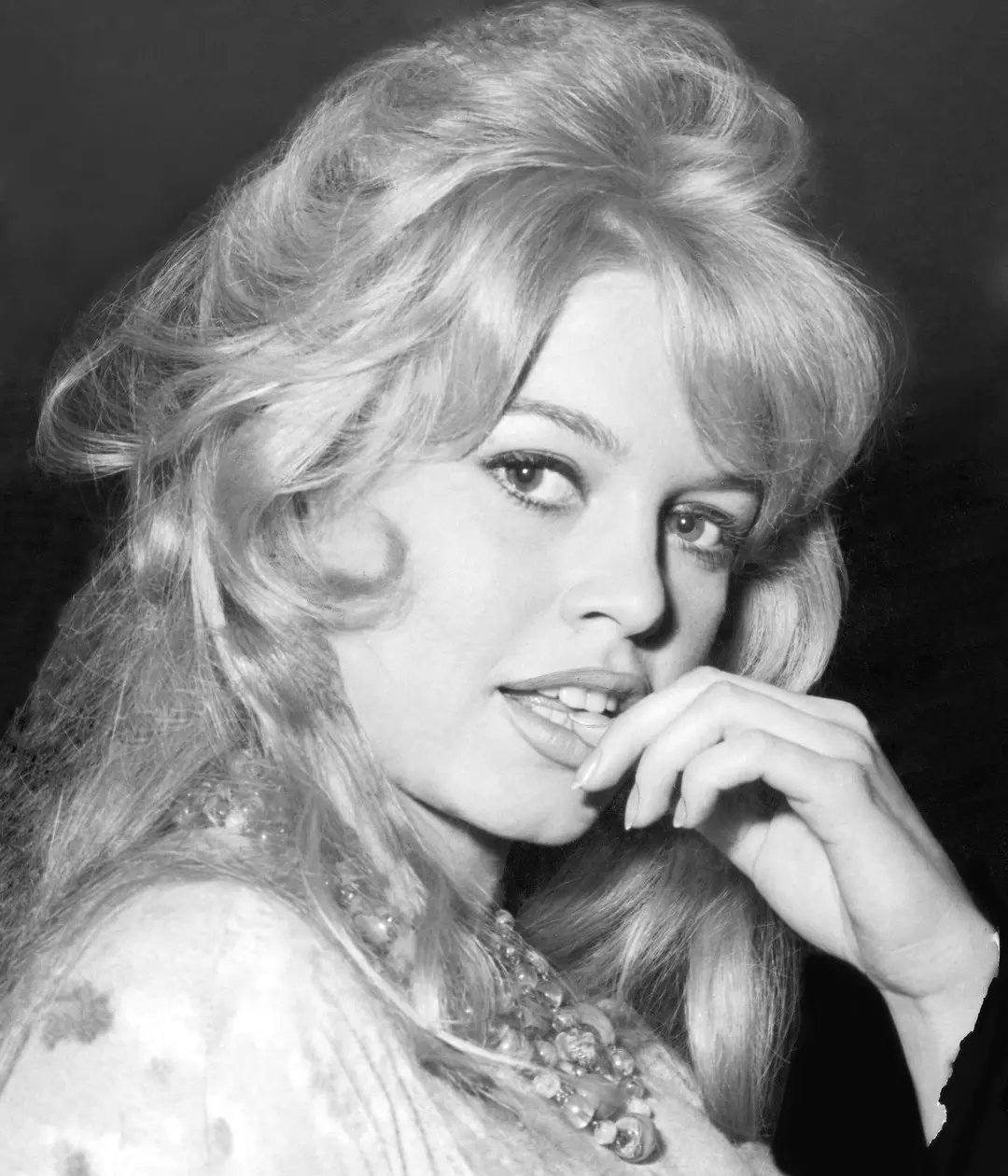 Photo brigitte bardot 12