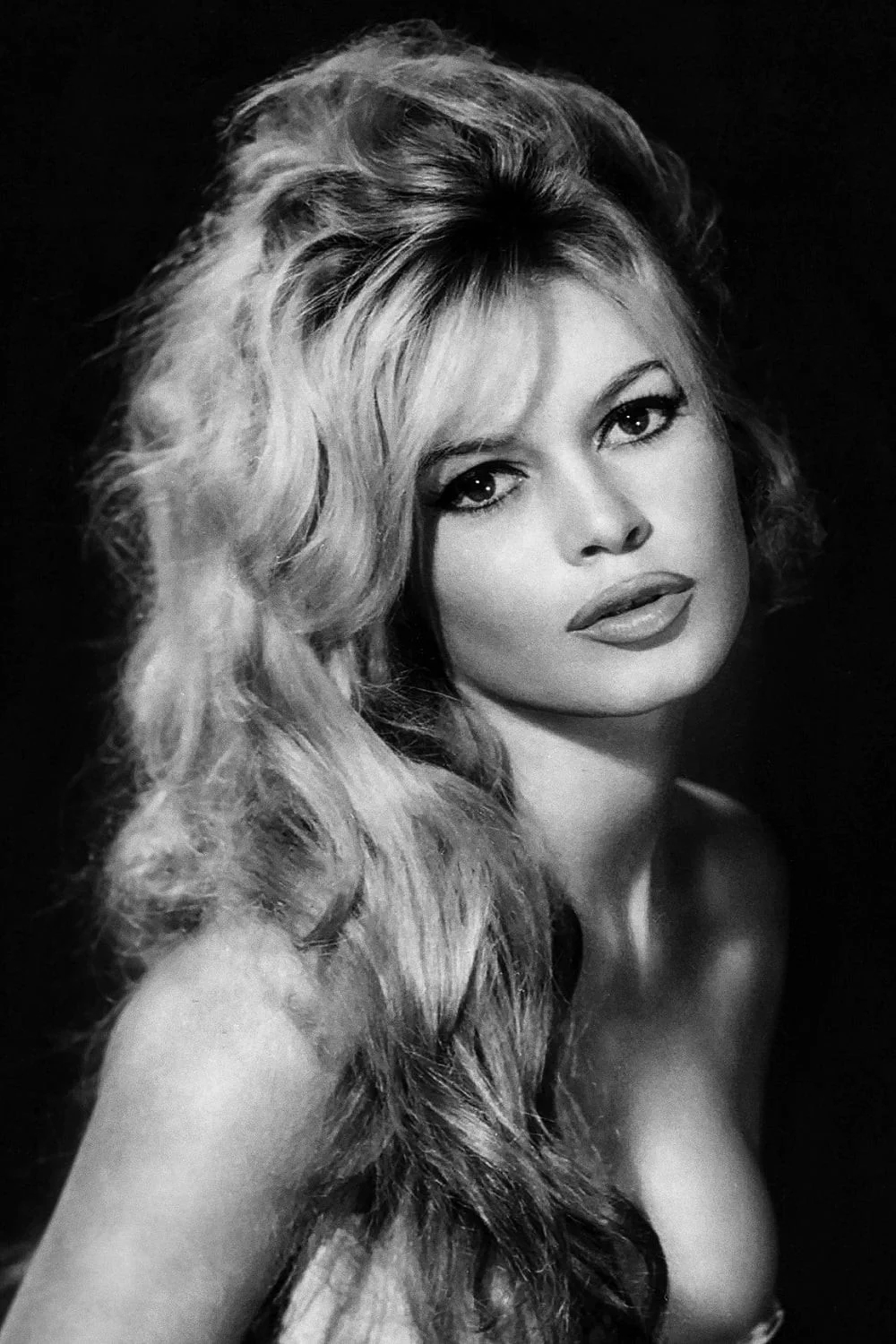 Photo brigitte bardot 16